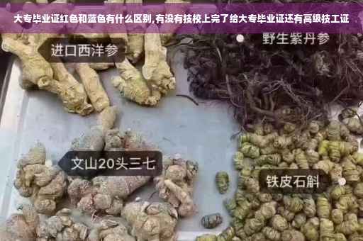 大专毕业证红色和蓝色有什么区别,有没有技校上完了给大专毕业证还有高级技工证