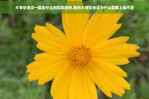 大专毕业证一般由什么时间发放的,我的大专毕业证为什么在网上查不到