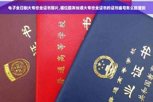 电子全日制大专毕业证书图片,哪位朋友知道大专毕业证书的证书编号怎么能查到