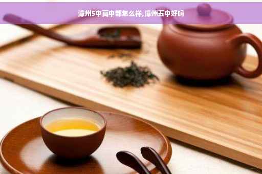 漳州5中高中部怎么样,漳州五中好吗
