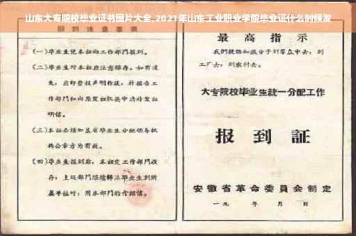 山东大专院校毕业证书图片大全,2021年山东工业职业学院毕业证什么时候发