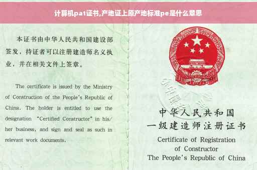 计算机pat证书,产地证上原产地标准pe是什么意思