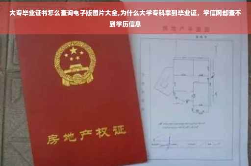 大专毕业证书怎么查询电子版图片大全,为什么大学专科拿到毕业证，学信网却查不到学历信息