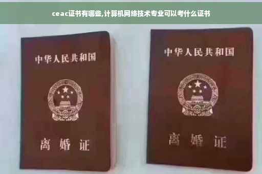 ceac证书有哪些,计算机网络技术专业可以考什么证书