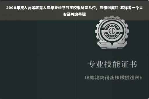 2000年成人高等教育大专毕业证书的学校编码是几位，怎样组成的-怎样考一个大专证书编号呢