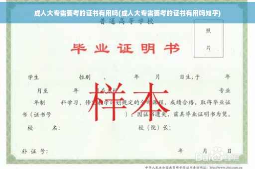 成人大专需要考的证书有用吗(成人大专需要考的证书有用吗知乎)