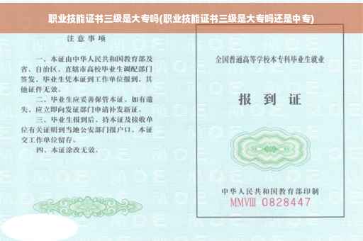 职业技能证书三级是大专吗(职业技能证书三级是大专吗还是中专)