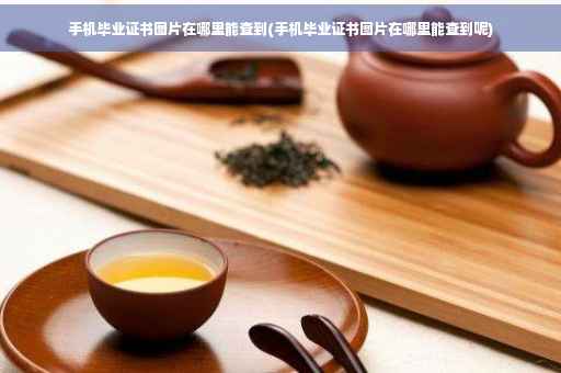 手机毕业证书图片在哪里能查到(手机毕业证书图片在哪里能查到呢)
