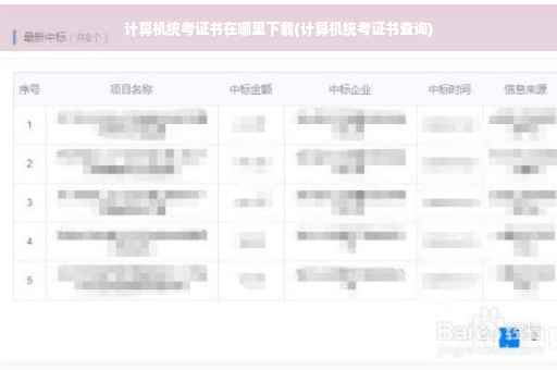 计算机统考证书在哪里下载(计算机统考证书查询)