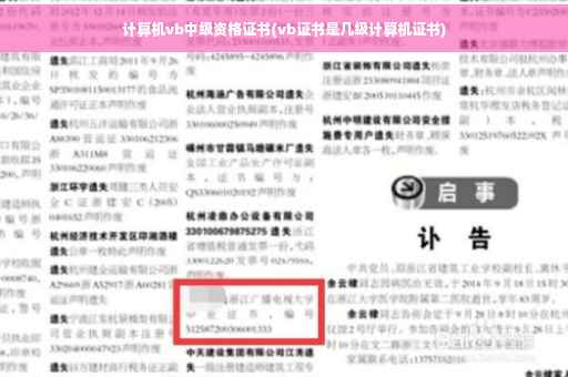 计算机vb中级资格证书(vb证书是几级计算机证书)