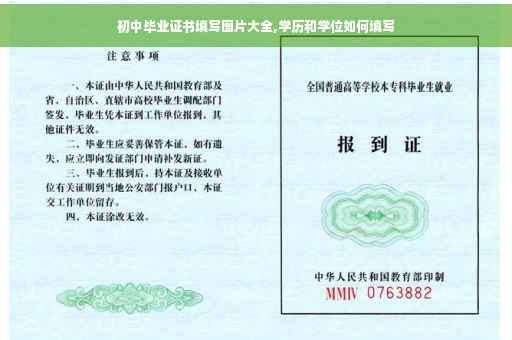 初中毕业证书填写图片大全,学历和学位如何填写