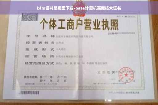 blm证书是哪里下发-osta计算机高新技术证书