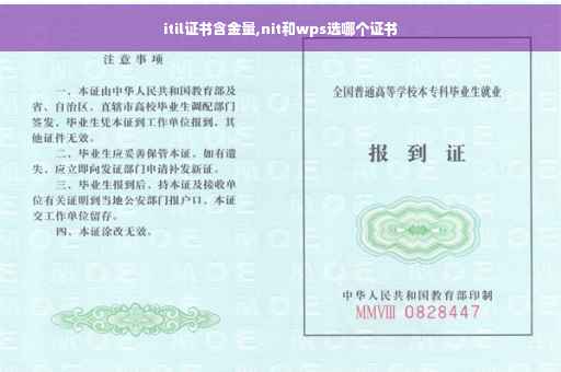 itil证书含金量,nit和wps选哪个证书