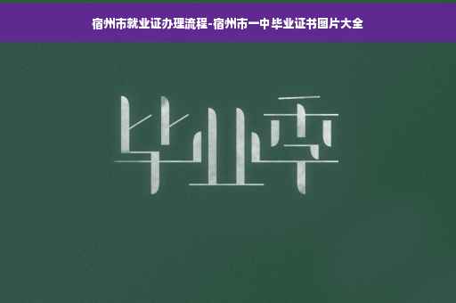 宿州市就业证办理流程-宿州市一中毕业证书图片大全