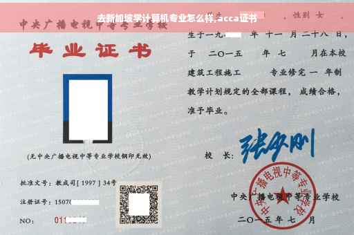 去新加坡学计算机专业怎么样,acca证书