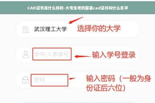 CAD证书是什么样的-大专生考的服装cad证书叫什么名字