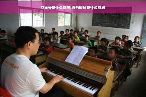 立案号是什么意思,医药国码是什么意思