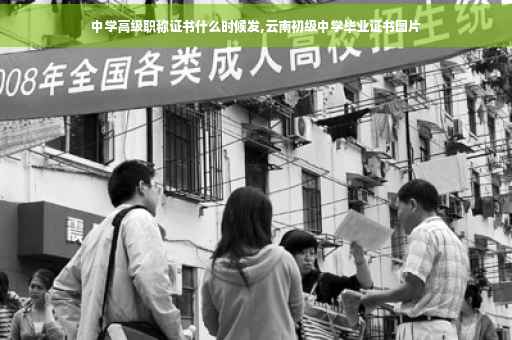 中学高级职称证书什么时候发,云南初级中学毕业证书图片