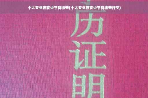 十大专业技能证书有哪些(十大专业技能证书有哪些种类)