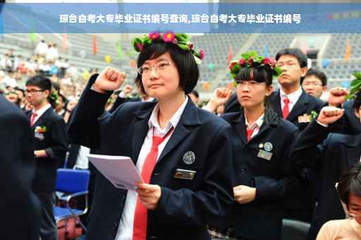 琼台自考大专毕业证书编号查询,琼台自考大专毕业证书编号