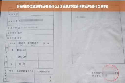 计算机岗位取得的证书是什么(计算机岗位取得的证书是什么样的)