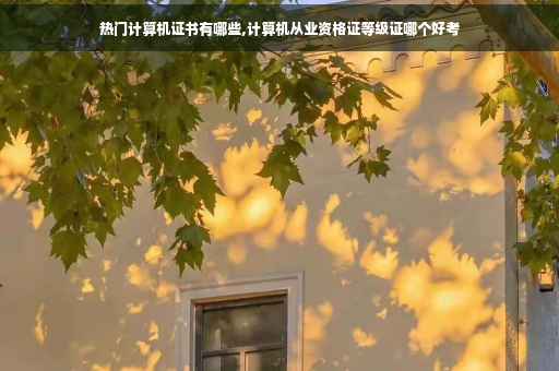 热门计算机证书有哪些,计算机从业资格证等级证哪个好考