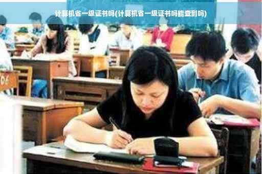 计算机省一级证书吗(计算机省一级证书吗能查到吗)