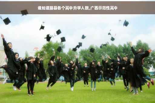谁知道藤县各个高中升学人数,广西示范性高中