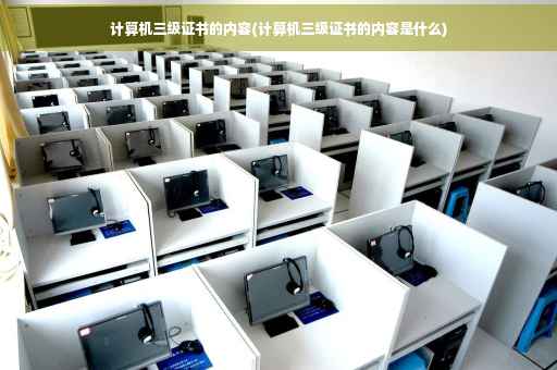 计算机三级证书的内容(计算机三级证书的内容是什么)