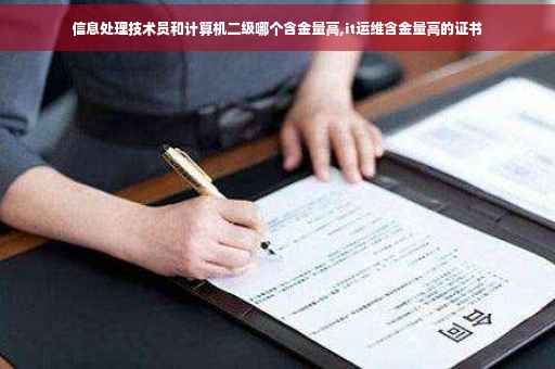 信息处理技术员和计算机二级哪个含金量高,it运维含金量高的证书