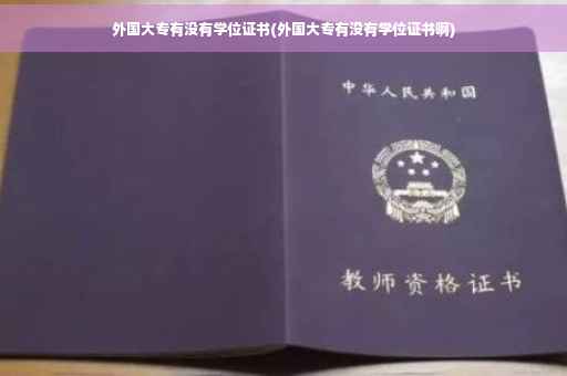 外国大专有没有学位证书(外国大专有没有学位证书啊)