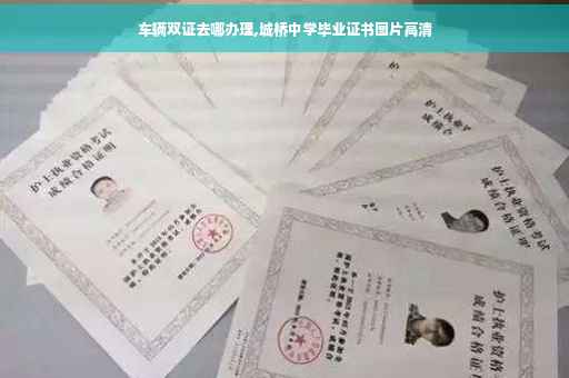 车辆双证去哪办理,城桥中学毕业证书图片高清
