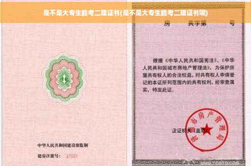 是不是大专生能考二建证书(是不是大专生能考二建证书呢)