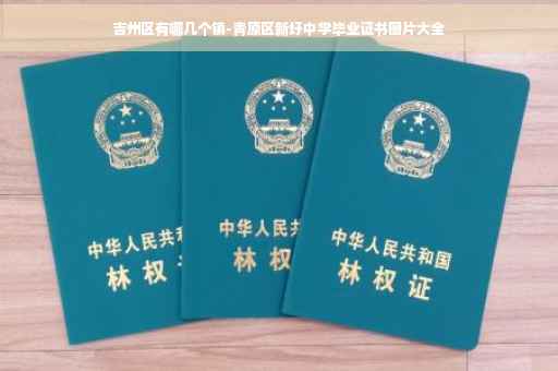 吉州区有哪几个镇-青原区新圩中学毕业证书图片大全