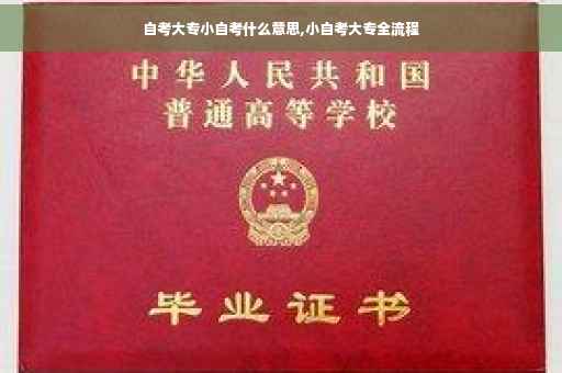 自考大专小自考什么意思,小自考大专全流程