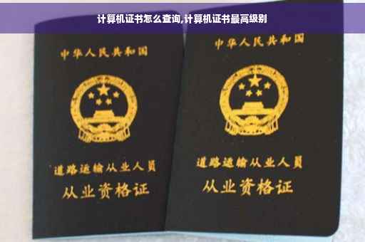 计算机证书怎么查询,计算机证书最高级别