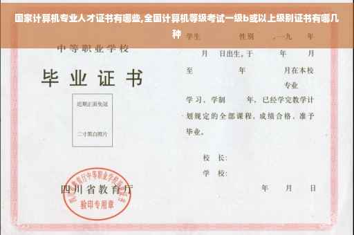 国家计算机专业人才证书有哪些,全国计算机等级考试一级b或以上级别证书有哪几种