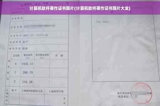 计算机软件著作证书图片(计算机软件著作证书图片大全)