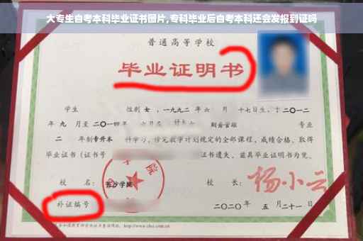 大专生自考本科毕业证书图片,专科毕业后自考本科还会发报到证吗