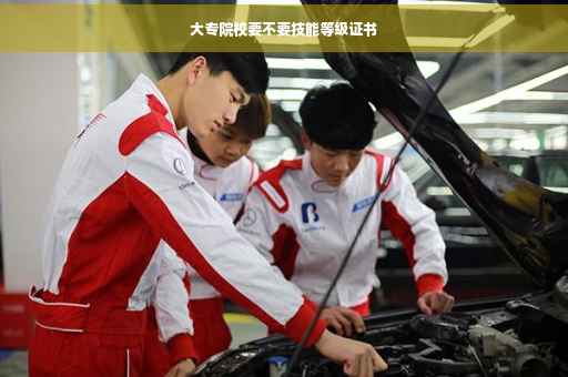 大专院校要不要技能等级证书 大专院校要不要技能等级证书