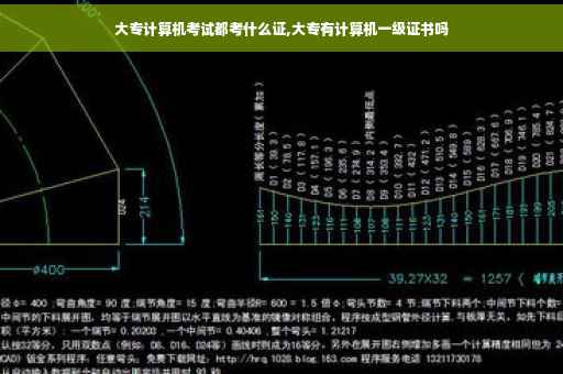 大专计算机考试都考什么证,大专有计算机一级证书吗
