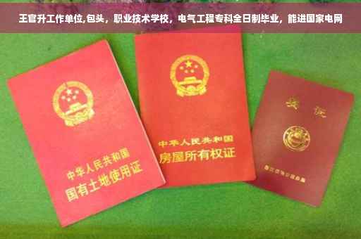 王官升工作单位,包头，职业技术学校，电气工程专科全日制毕业，能进国家电网