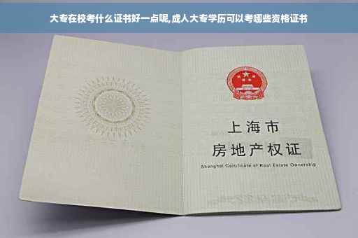 大专在校考什么证书好一点呢,成人大专学历可以考哪些资格证书
