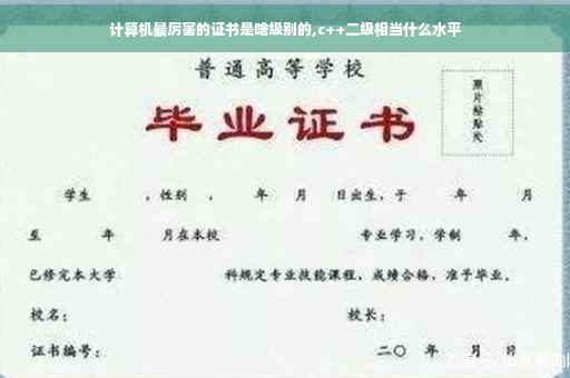 计算机最厉害的证书是啥级别的,c++二级相当什么水平