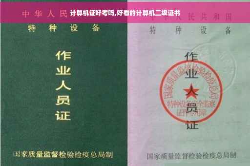 计算机证好考吗,好看的计算机二级证书