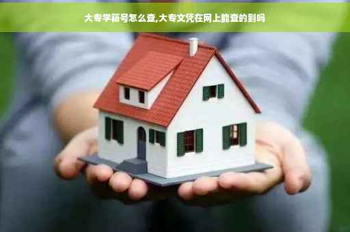 大专学籍号怎么查,大专文凭在网上能查的到吗