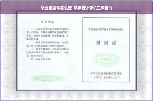 毕业证编号怎么查-怎样查计算机二级证书