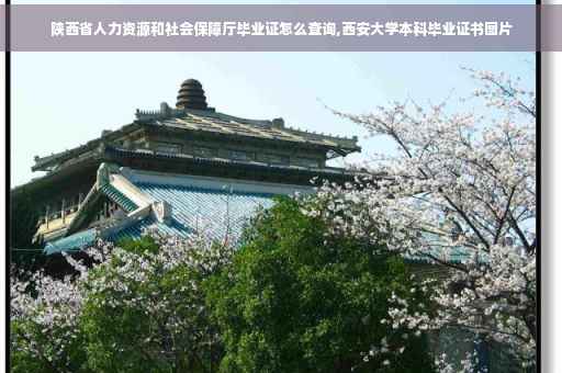 陕西省人力资源和社会保障厅毕业证怎么查询,西安大学本科毕业证书图片