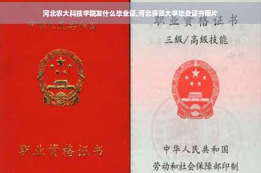 河北农大科技学院发什么毕业证,河北师范大学毕业证书图片