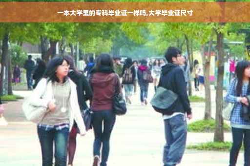 一本大学里的专科毕业证一样吗,大学毕业证尺寸